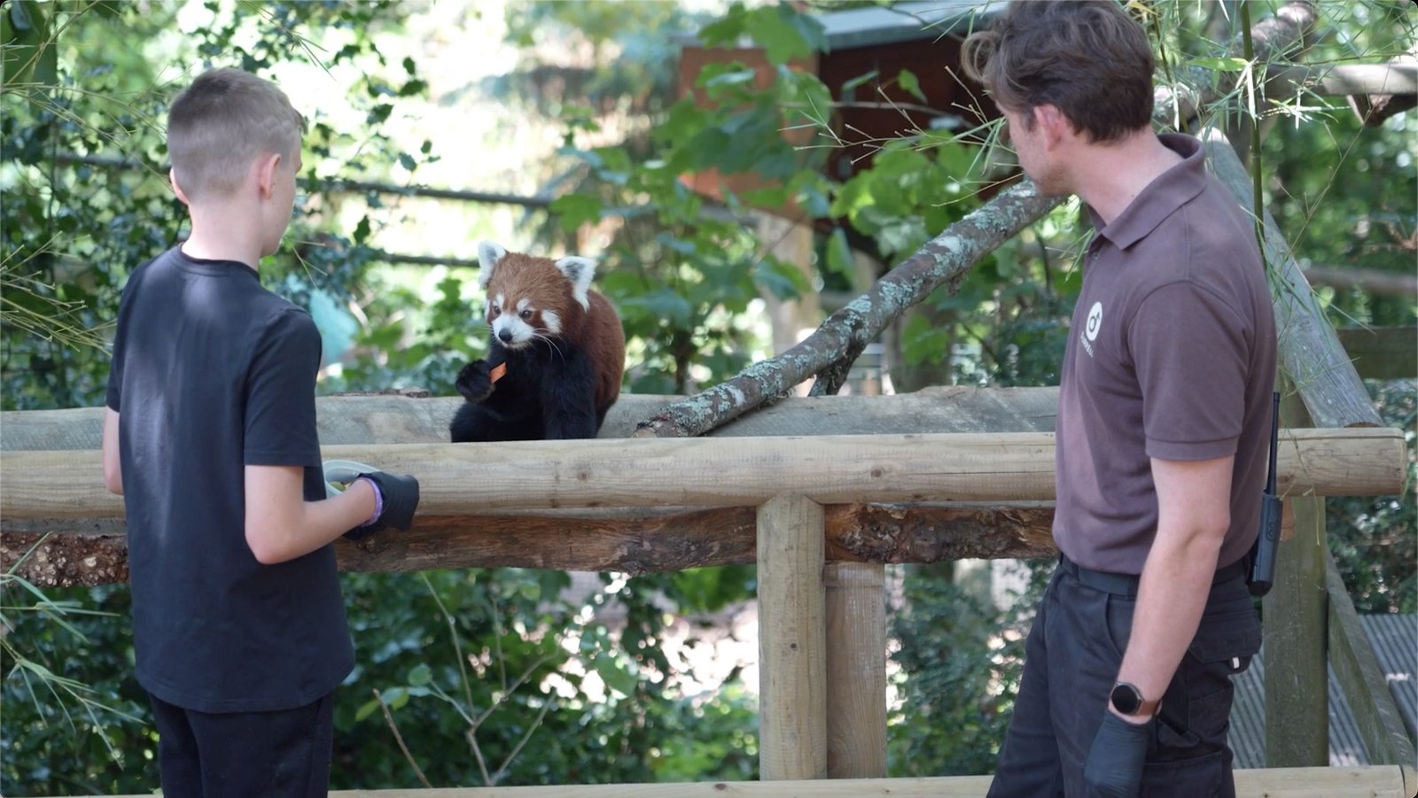 Still from the film "Jersey Zoo" by Anna Jermolaewa