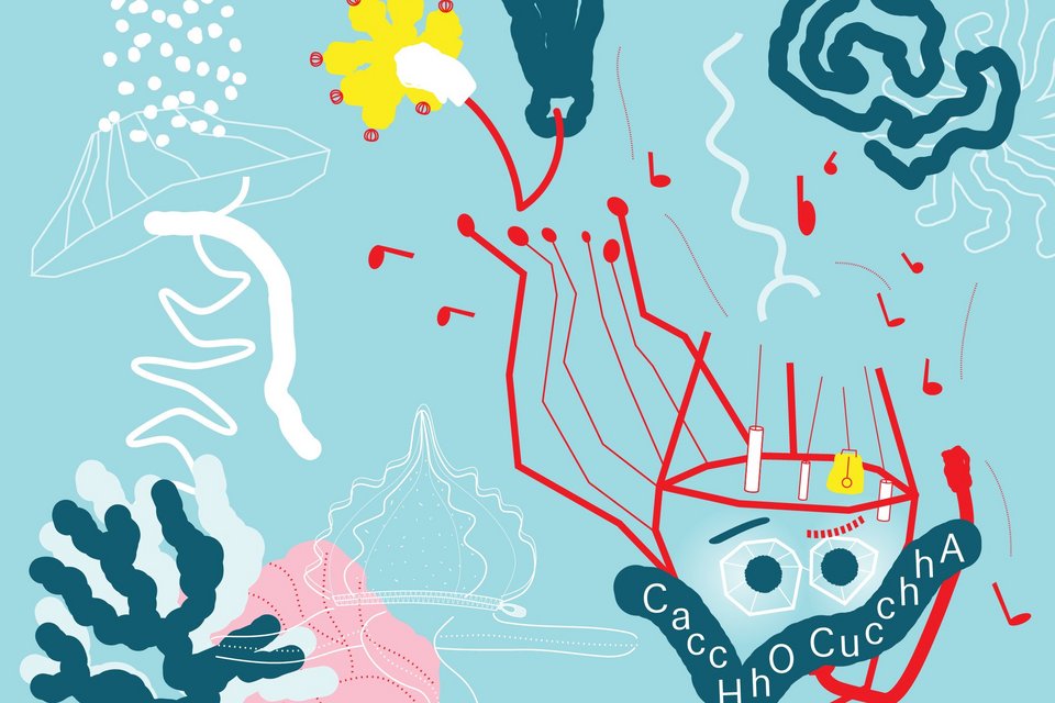Grafische Darstellung zur Ausstellung CaccHho CucchhA