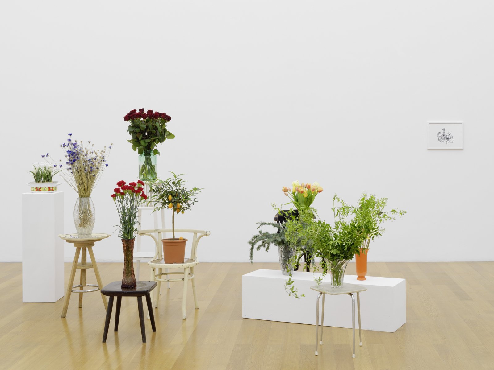 Installation view of "The Penultimate" by Anna Jermolaewa