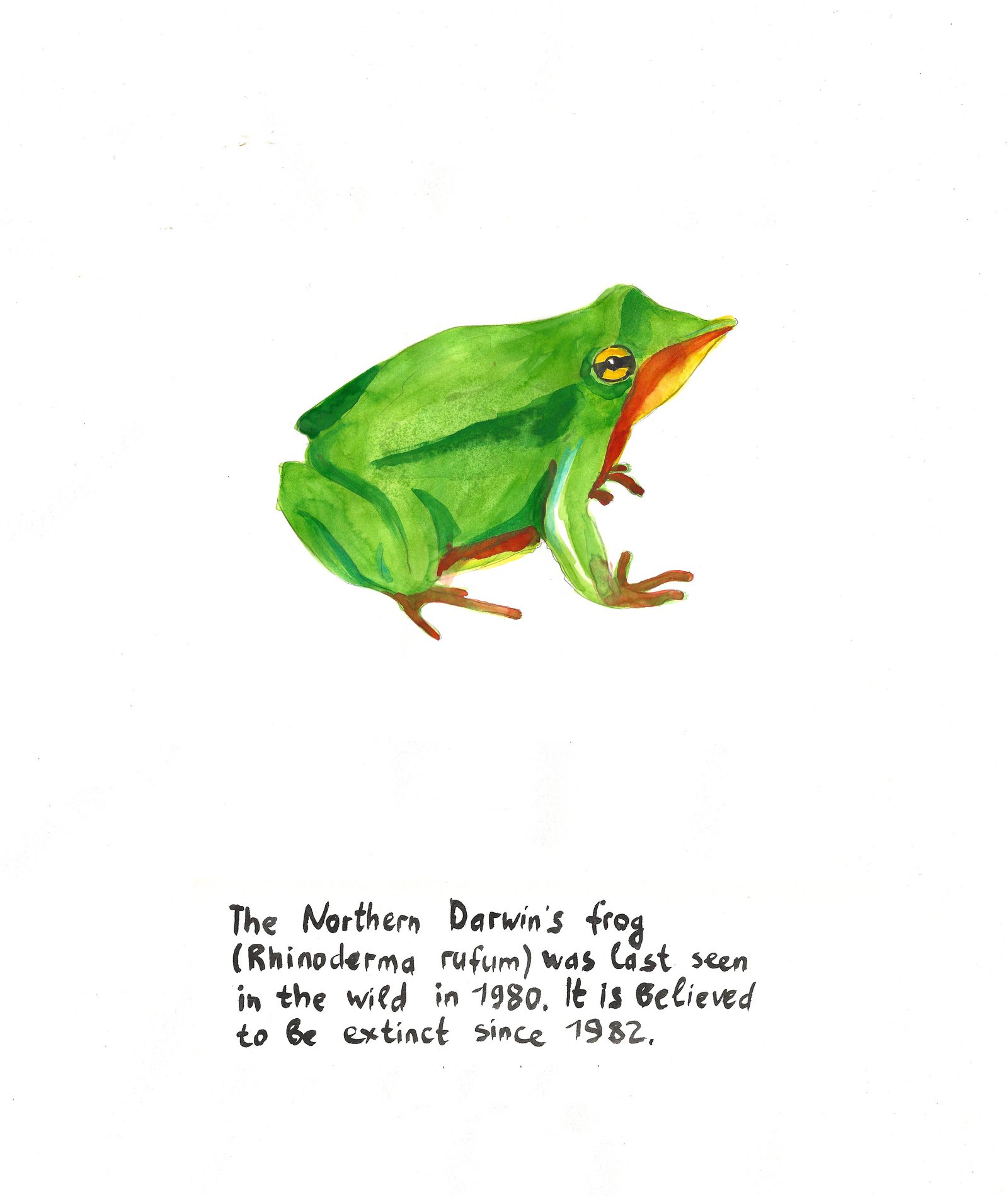 Sheet from the series "LAST SEEN SINCE 1970" by Anna Jermolaewa