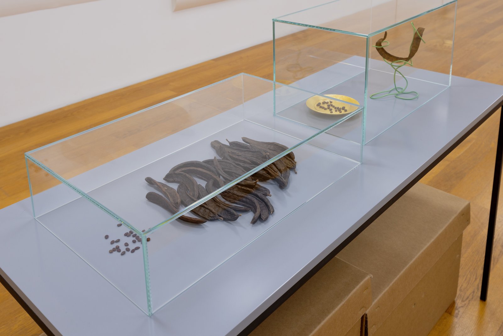 View of the exhibition «What is wealth?»