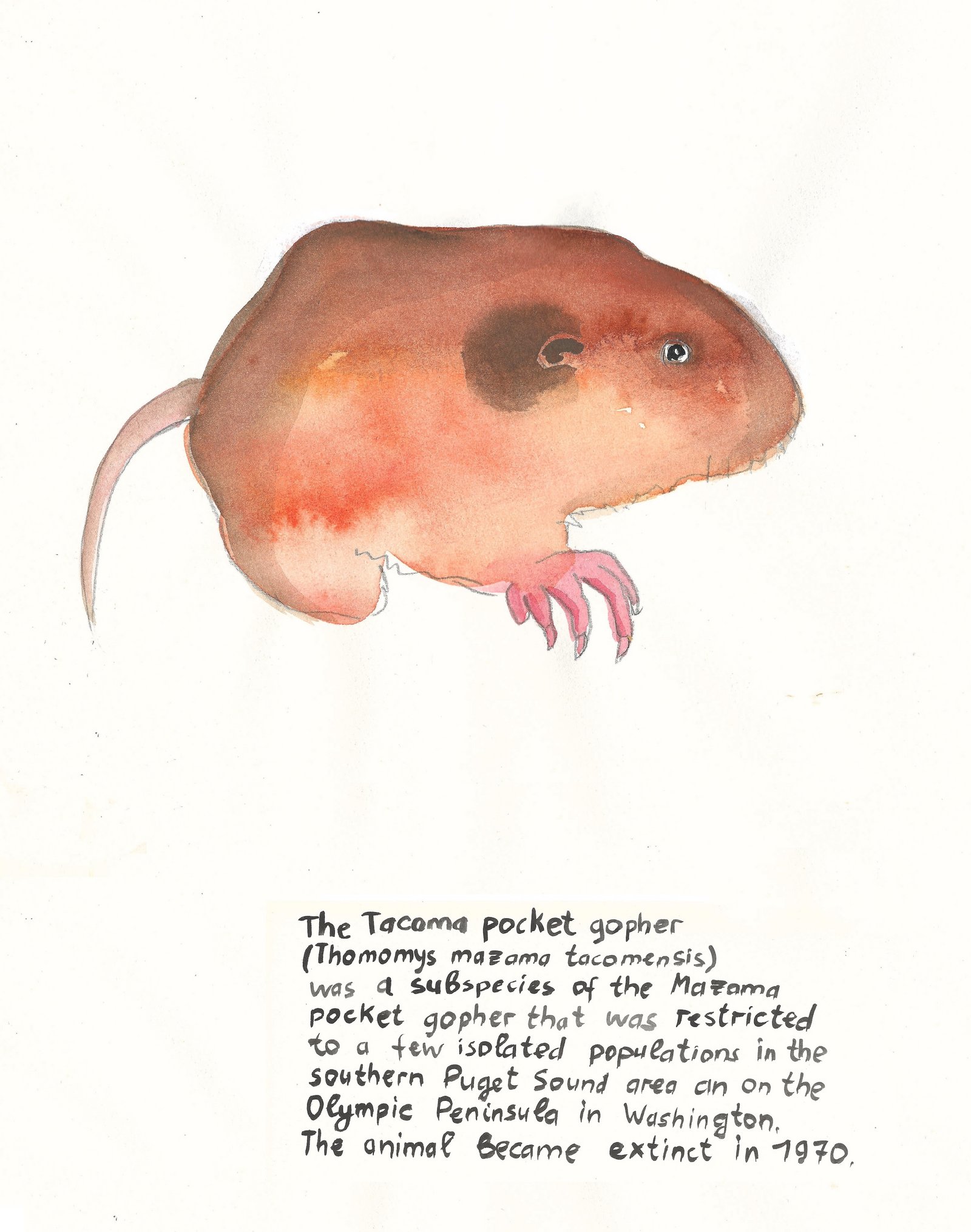 Sheet from the series "LAST SEEN SINCE 1970" by Anna Jermolaewa