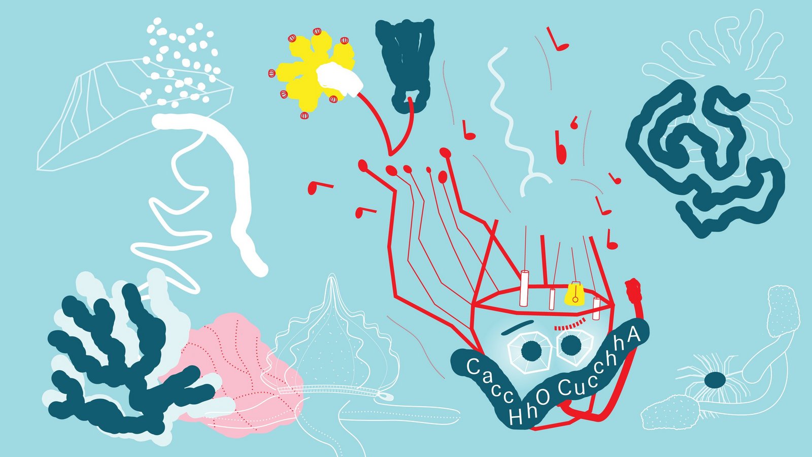 [Translate to Englisch:] Grafische Darstellung zur Ausstellung CaccHho CucchhA